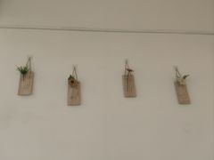 -米阿糯糕团•酒酿•甜品(莫愁店)