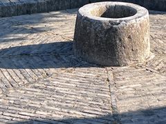 -上海佘山国家森林公园天马山园