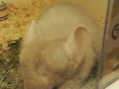 -龙猫仔乐园(惠福东路店)