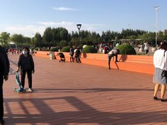 -丁香湖公园