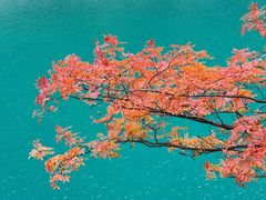 -叠溪松坪沟景区