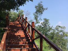 -大岭沟猕猴桃谷风景区