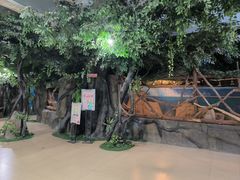 -泉州海丝野生动物世界