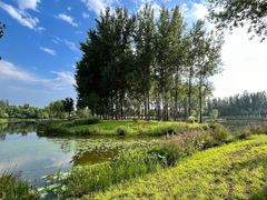 -东郊湿地公园