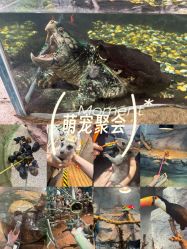 -Zoolung Zoolung动物主题公园(海信广场店)