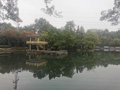 -晓港公园