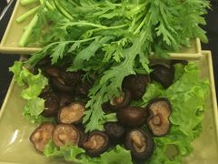 -青岛小羔羊火锅(李村公园店)