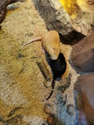 -酷嗒动物文化乐园(cutezoo西溪乐天城店)