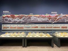 -湖南省地质博物馆