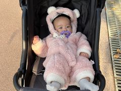 -南通洲际绿博园