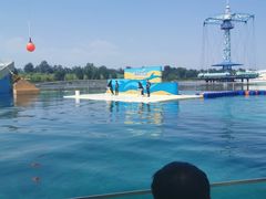 -秦皇岛乐岛海洋王国