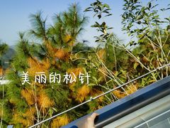 -宝荣鱼馆·临湖之宴(千岛湖店)