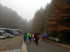 -山王坪喀斯特国家生态公园