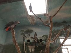 -石家庄市动物园