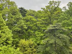 -少华山国家森林公园
