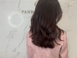 -潘多拉Hairsalon