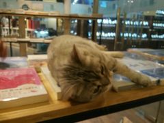 -小时光咖啡馆(开森度假森林店)