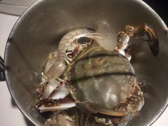 -星伦多自助料理·涮烤一体(嘉兴八佰伴店)