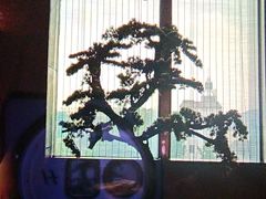 -蓉城四海·澳牛炙烤自助(江阴周庄店)