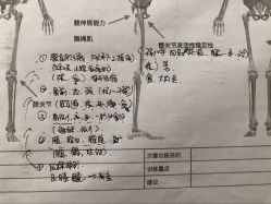 -Real Pilates优体普拉提