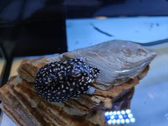 -宠物世家(仲盛世界商城店)