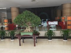 -真爱年华水疗健康运动中心(朱雀大街店)