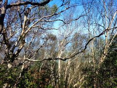 -白草畔自然风景区