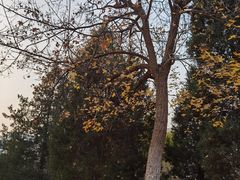 -中关村生命科学园