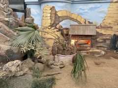 -海合安成都极地海洋公园