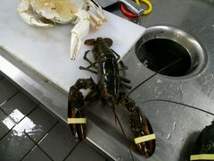 -盒马渔市餐厅