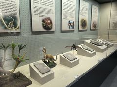 -辽宁古生物博物馆