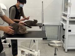 -comecome来吧宠物(奥克斯中心店)