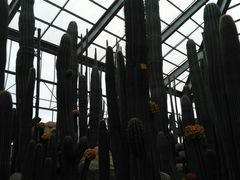 -南通洲际绿博园