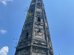 -上海佘山国家森林公园天马山园