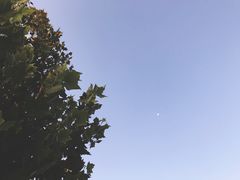 -伊宁站
