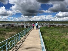 -塞罕坝国家级自然保护区