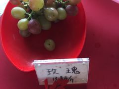 -马陆小张葡萄园农家乐