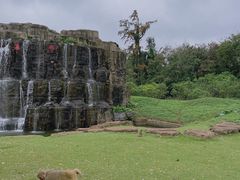 -海南热带野生动植物园