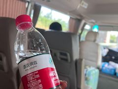 -麦新格精品酒店(上海浦东机场川沙迪士尼店)