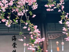 -莫愁湖公园