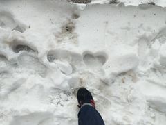 -塔云山