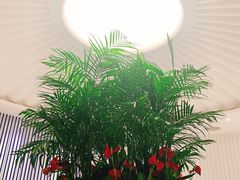 -LANN I 蘭 SPA(陆家嘴中心店)