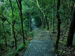 -紫金山山顶公园