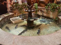 -万里闯关东铁锅炖菜馆(高新旗舰店)