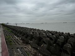 -上海滨江森林公园