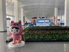 -石家庄正定国际机场-T2航站楼