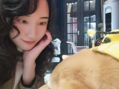 -猫色咖啡·猫咖