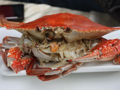 蒸带黄母蟹-海岛渔村大酒店(云霄路店)