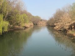 -溱湖国家湿地公园