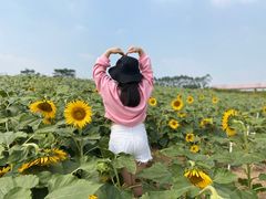 -迪茵湖田家舍生态农场